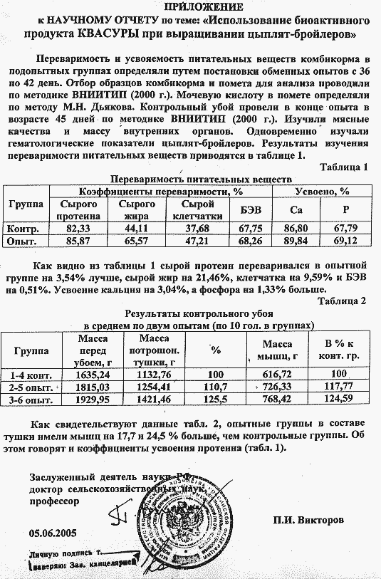 Научный отчёт - приложение